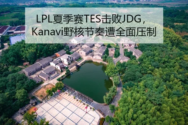 LPL夏季赛TES击败JDG，Kanavi野核节奏遭全面压制